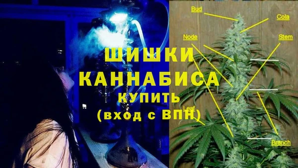 Альфа ПВП Володарск
