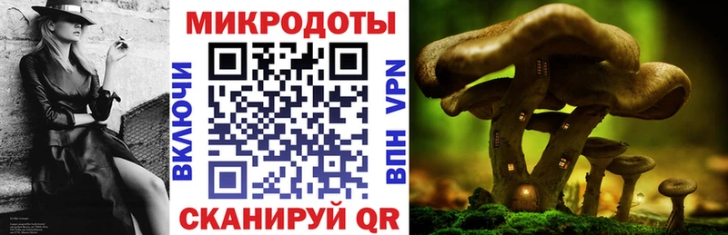 Галлюциногенные грибы Cubensis  Купить где  Правдинск 