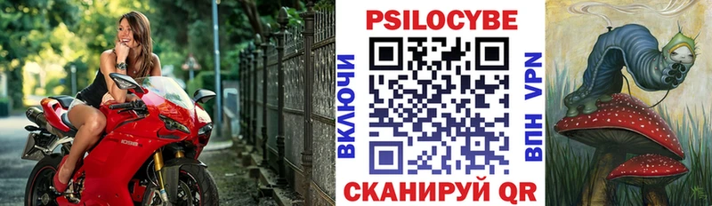 Галлюциногенные грибы Psilocybine cubensis Правдинск